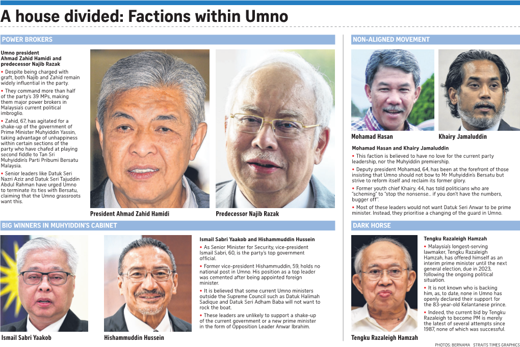 A House Divided: Factions Within Umno