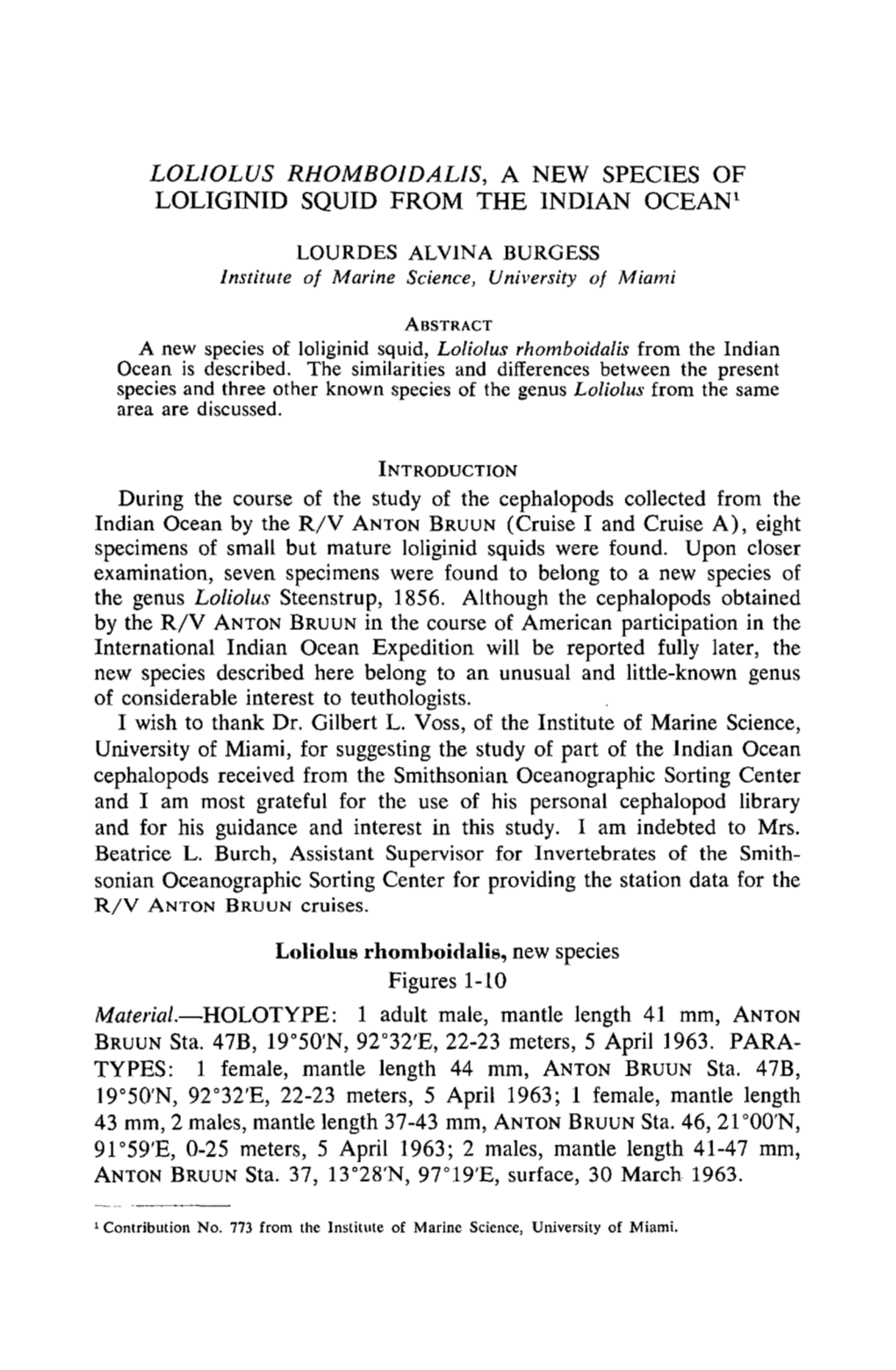 &lt;I&gt;Loliolus Rhomboidalis&lt;/I&gt;, a New Species of Loliginid Squid from The