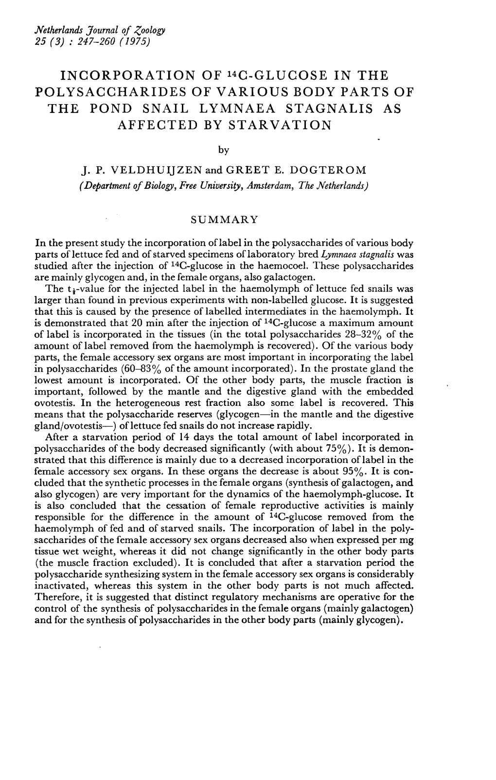 Incorporation of 14C-Glucose in the Polysaccharides of Various Body Parts of the Pond Snail Lymnaea Stagnalis As Affected by Starvation