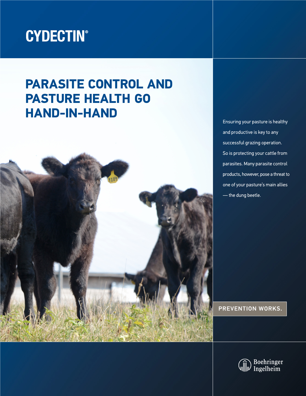 Parasite Control and Pasture Health Go Hand-In-Hand