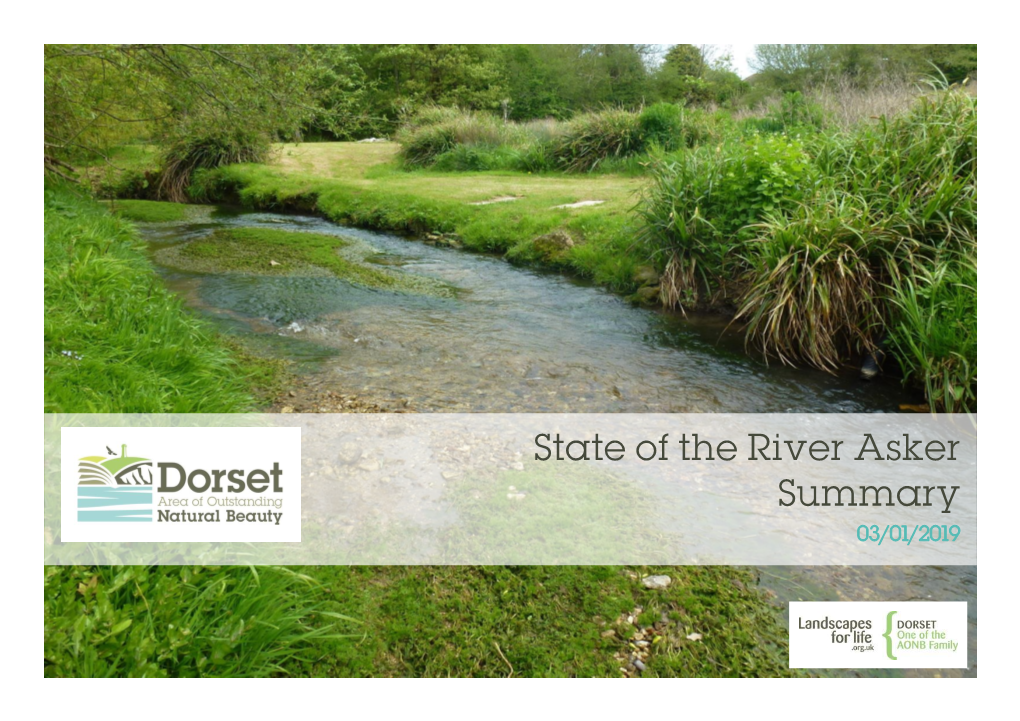 State of the River Asker Summary 03/01/2019