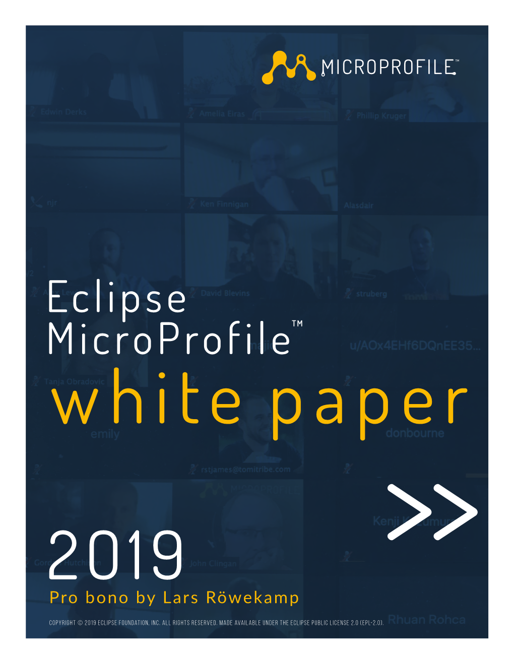 Eclipse Microprofiletm White Paper