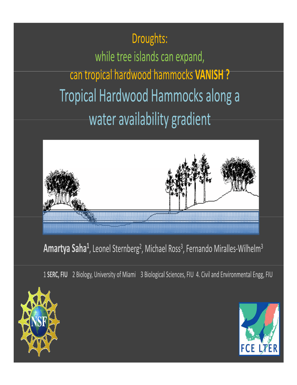 Tropical Hardwood Hammocks Along a Water Availability Gradient