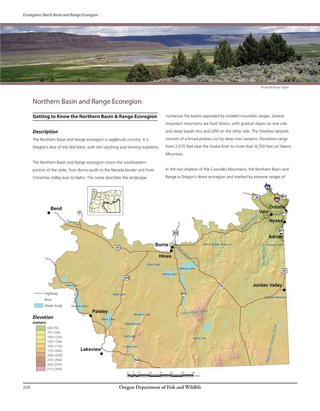 Northern Basin and Range Ecoregion