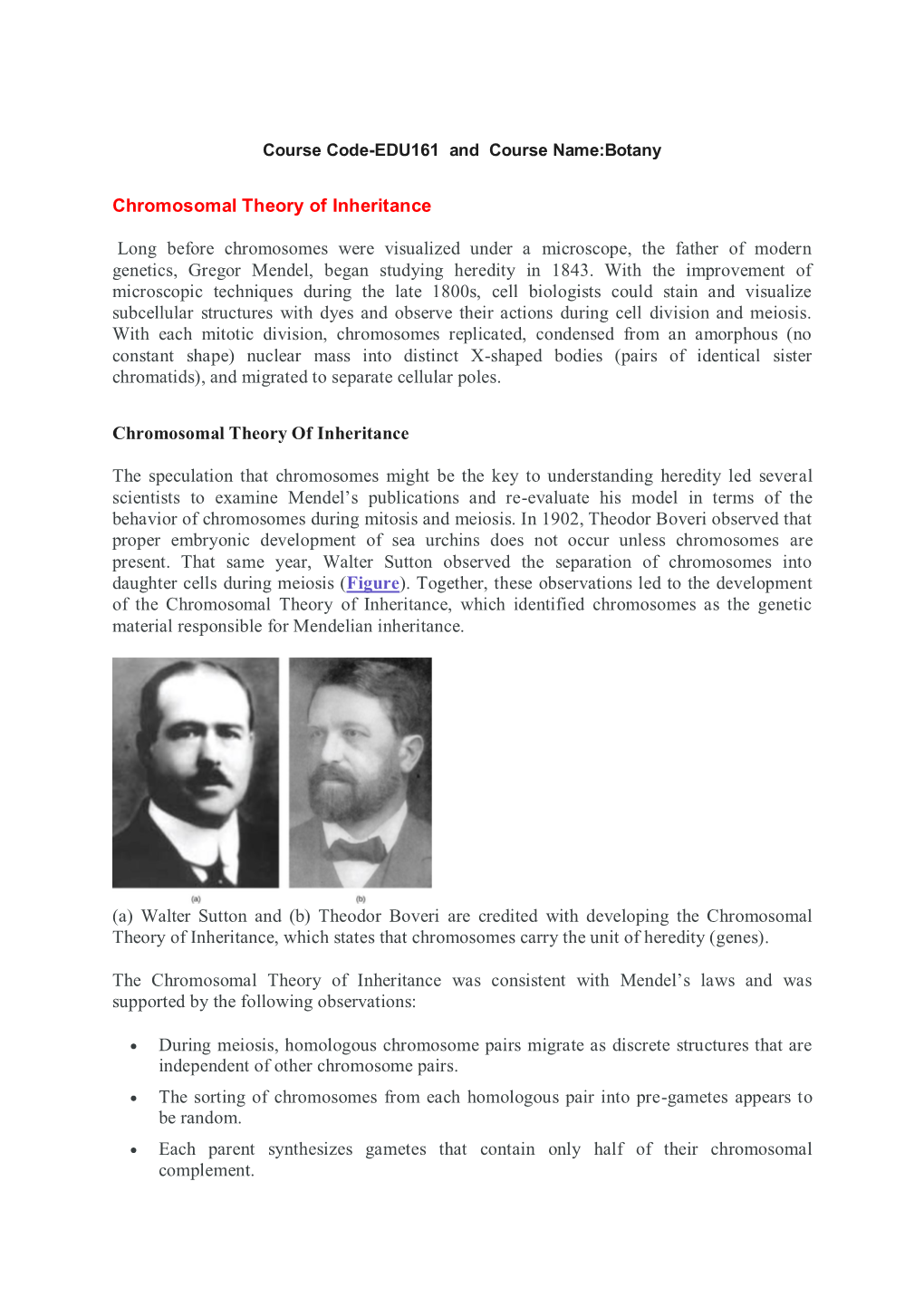 Chromosomal Theory of Inheritance Long Before Chromosomes Were