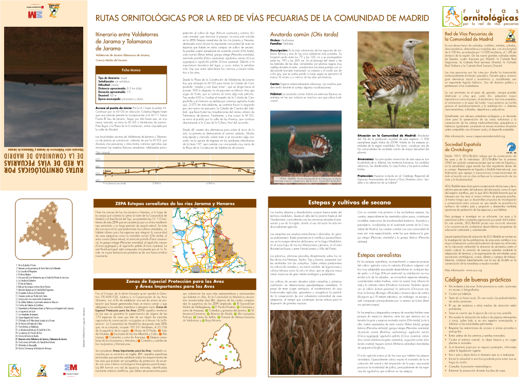 Rutas Ornitológicas Por La Red De Vías Pecuarias De La Comunidad De Madrid