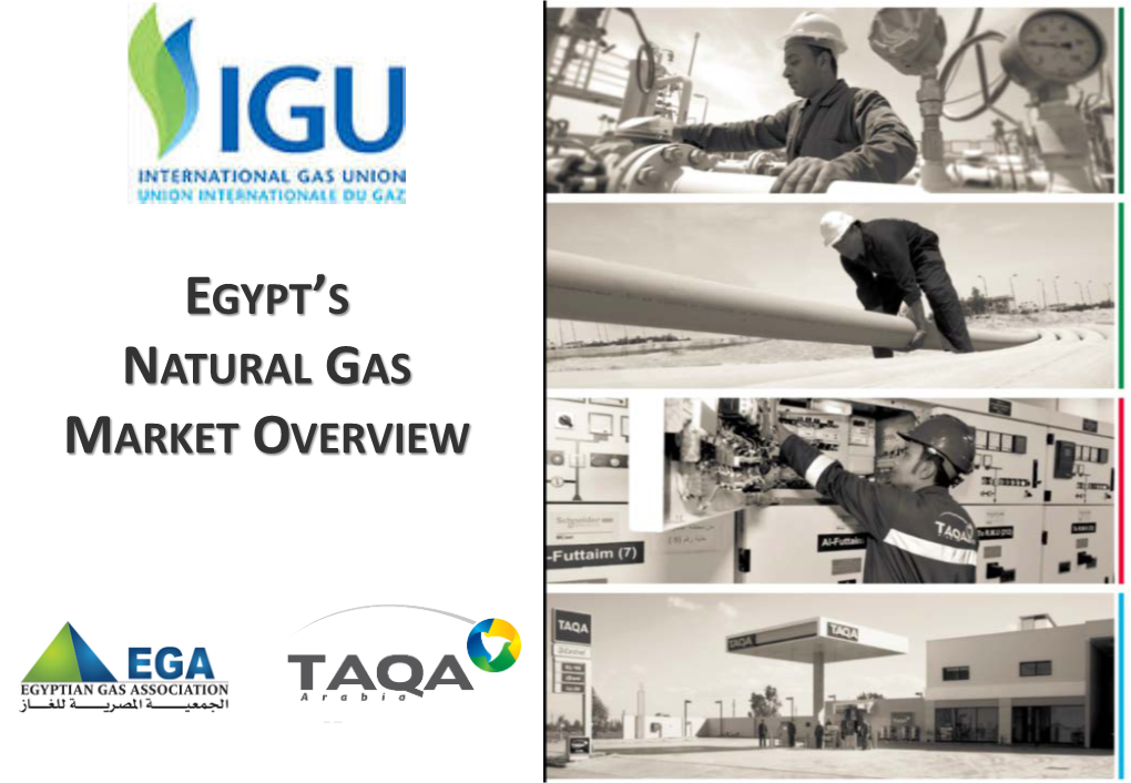 Egypt's Natural Gas Market Overview