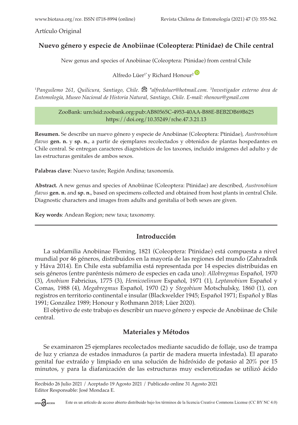 Nuevo Género Y Especie De Anobiinae (Coleoptera: Ptinidae) De Chile Central