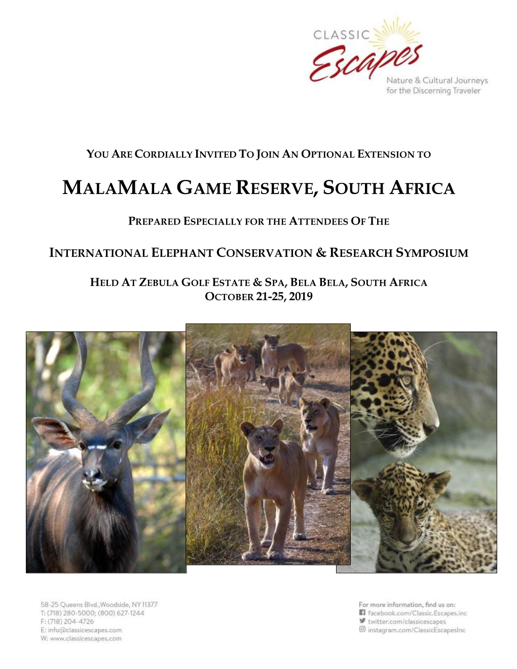 Malamala Game Reserve, South Africa