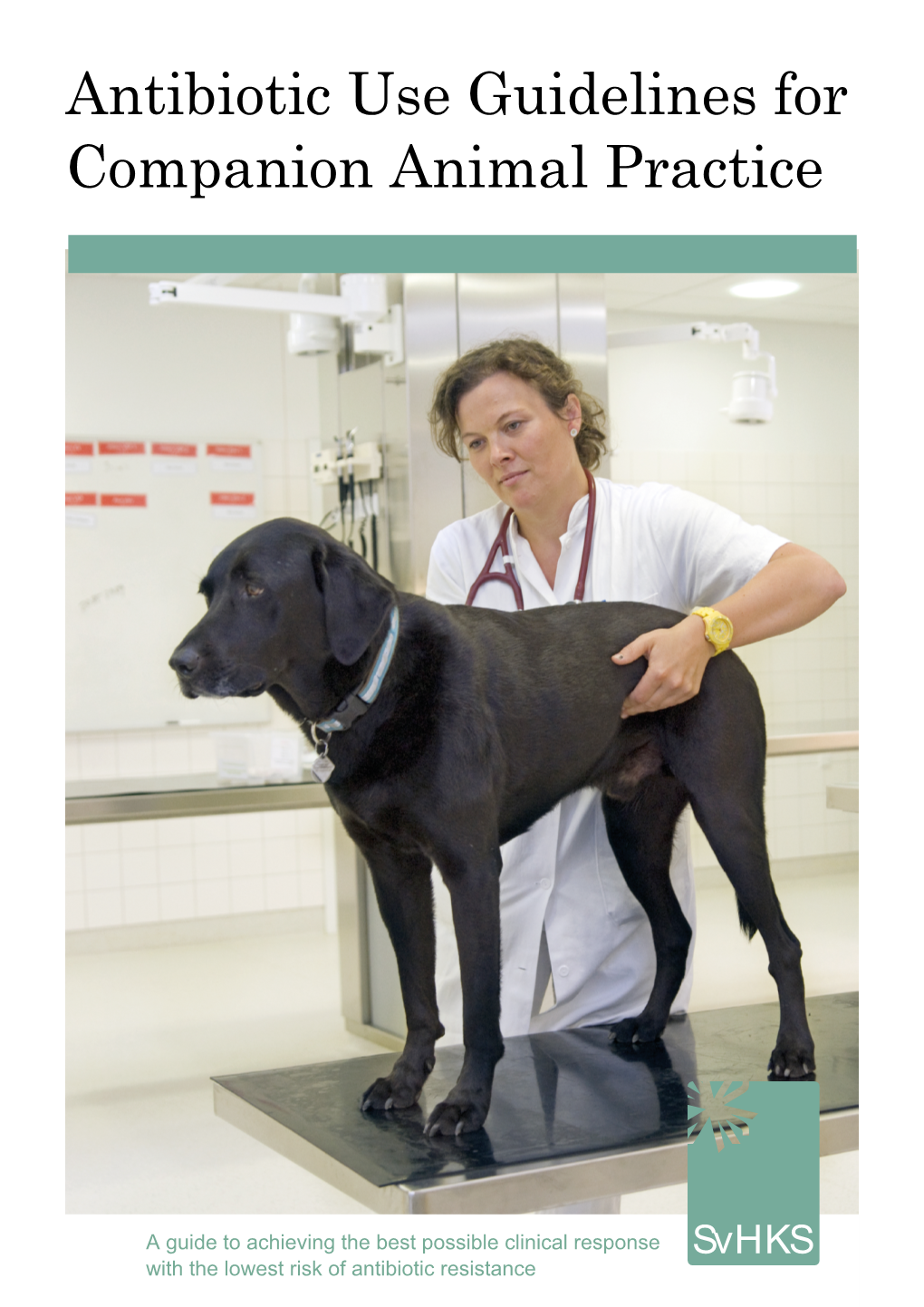 Antibiotic Use Guidelines for Companion Animal Practice