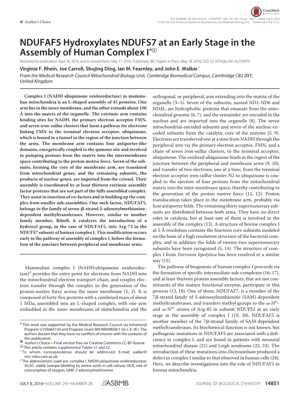 NDUFAF5 Hydroxylates NDUFS7 at an Early Stage in the Assembly of Human Complex I*DS