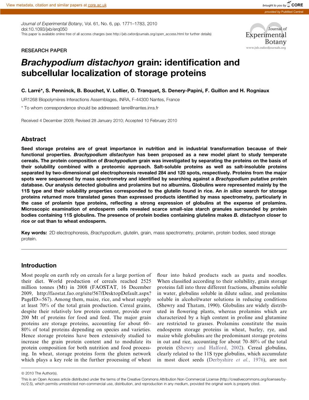 Brachypodium Distachyon Grain: Identification and Subcellular