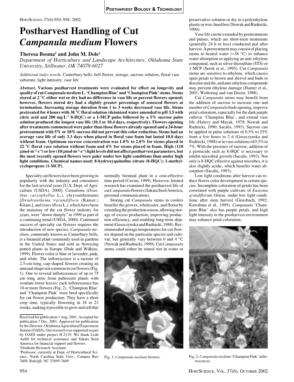 Postharvest Handling of Cut Campanula Medium Flowers