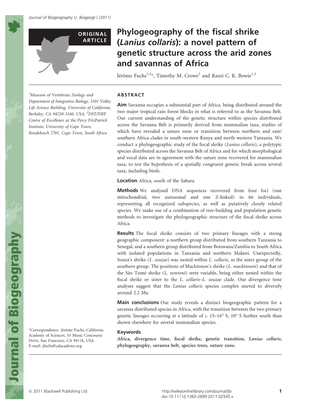 Phylogeography of the Fiscal Shrike (Lanius Collaris)