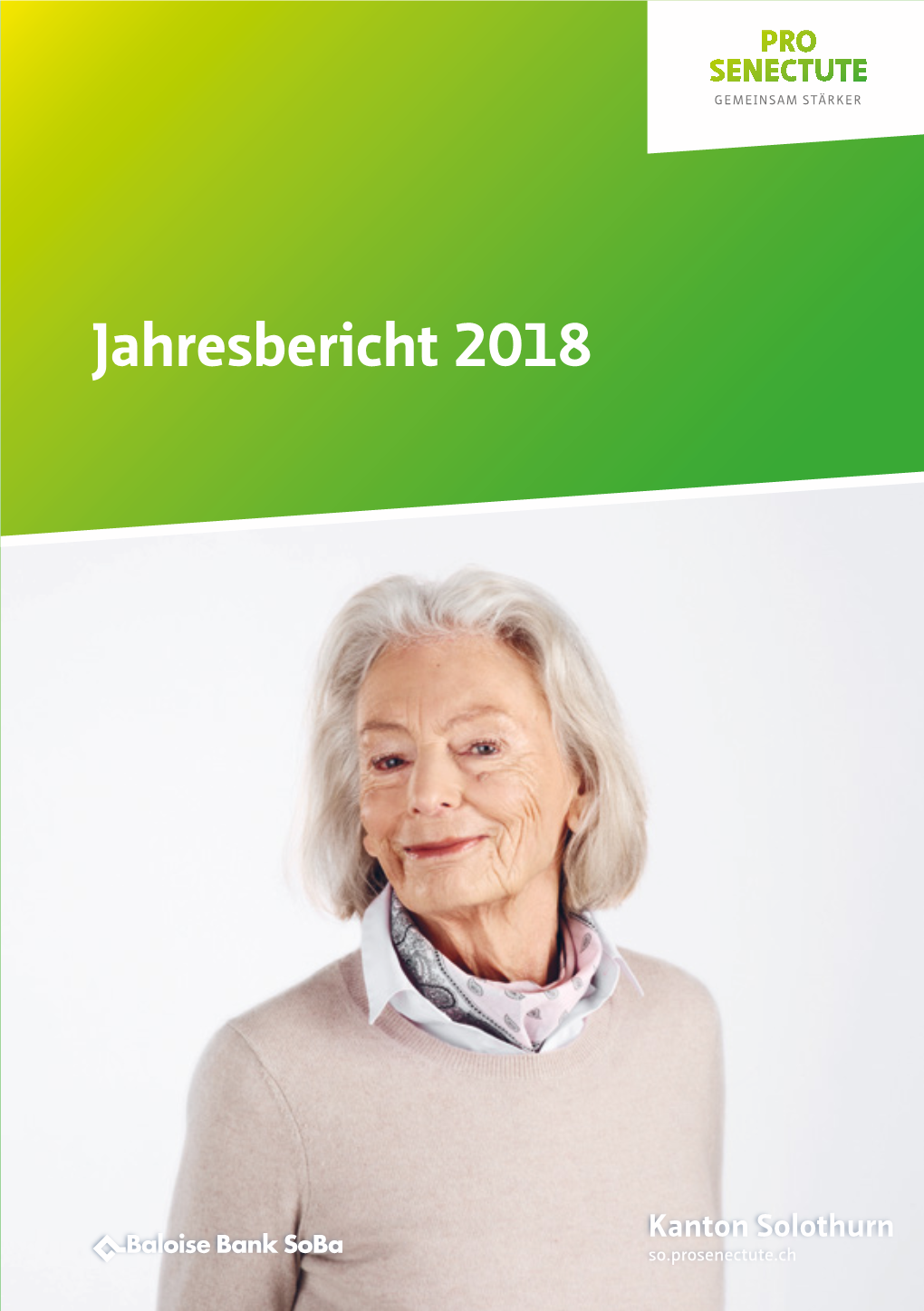 Jahresbericht 2018  Suchportal (Übersicht Angebote Für Das Alter)  Newsletter Und Fachinfo-Alter