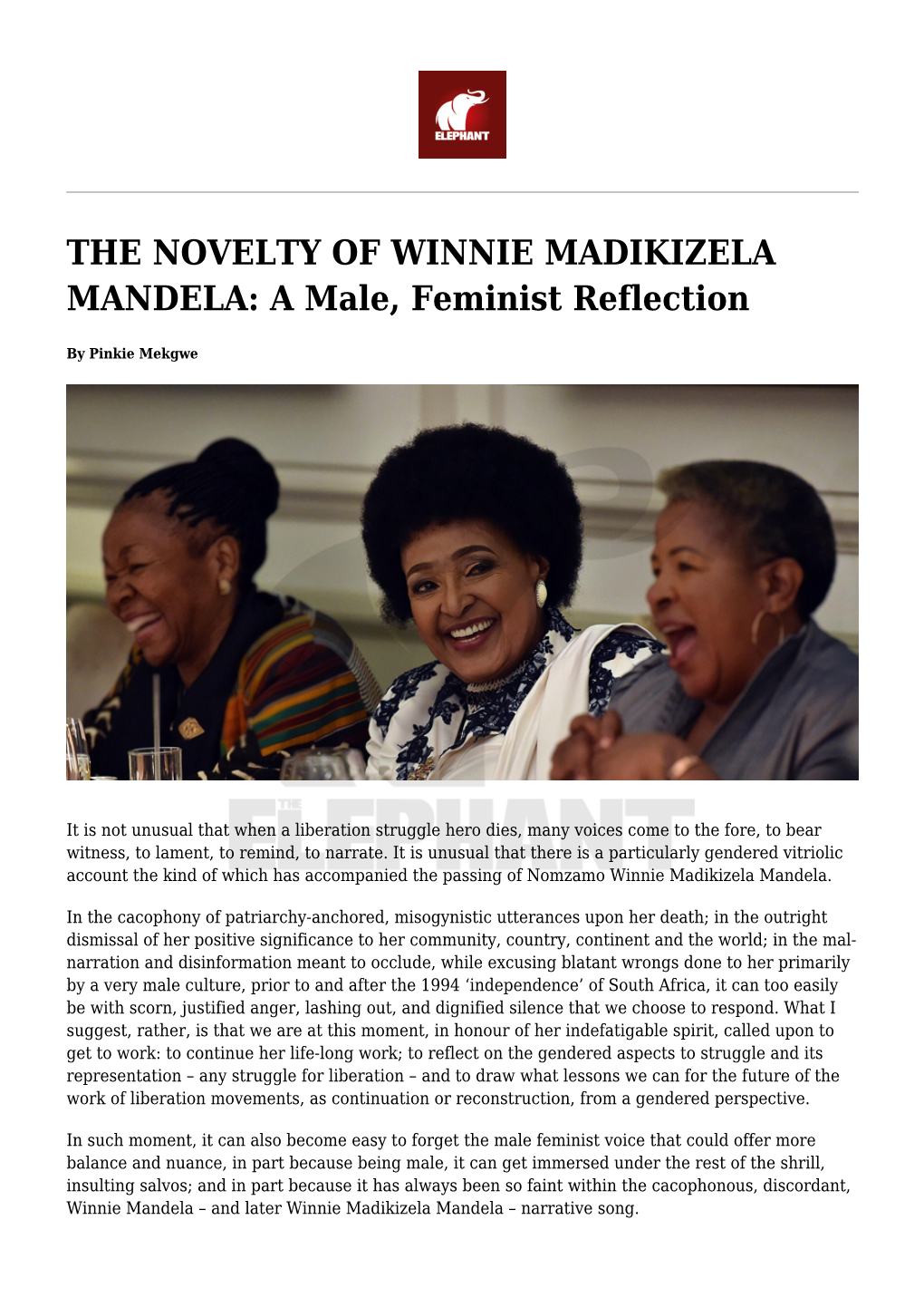 THE NOVELTY of WINNIE MADIKIZELA MANDELA: a Male, Feminist Reflection