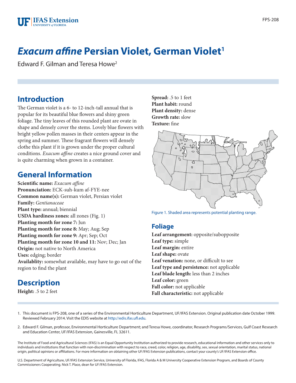 Exacum Affine Persian Violet, German Violet1