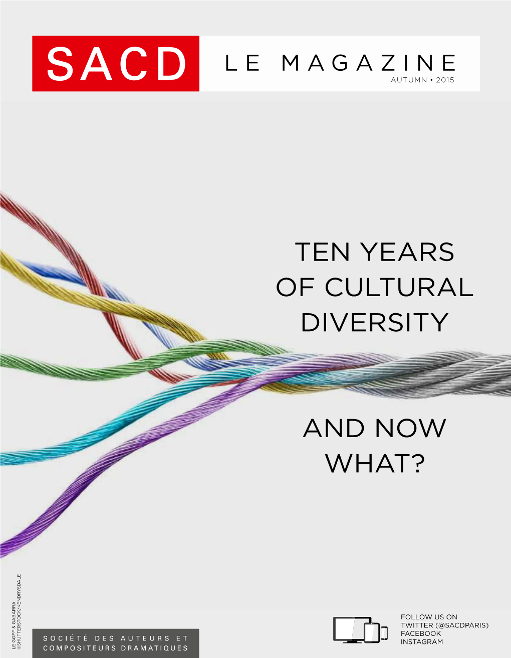 Ten Years of Cultural Diversity and Now What?