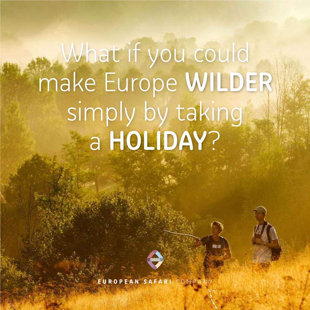 What If You Could Make Europe WILDER Simply by Taking a HOLIDAY?