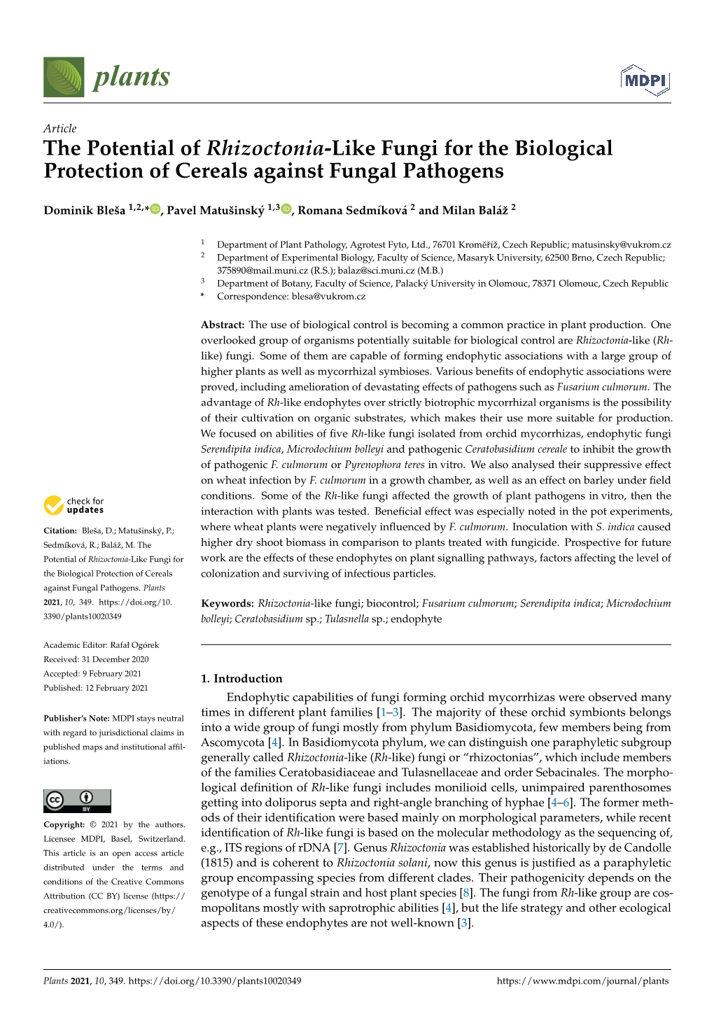 The Potential of Rhizoctonia-Like Fungi for the Biological Protection of Cereals Against Fungal Pathogens