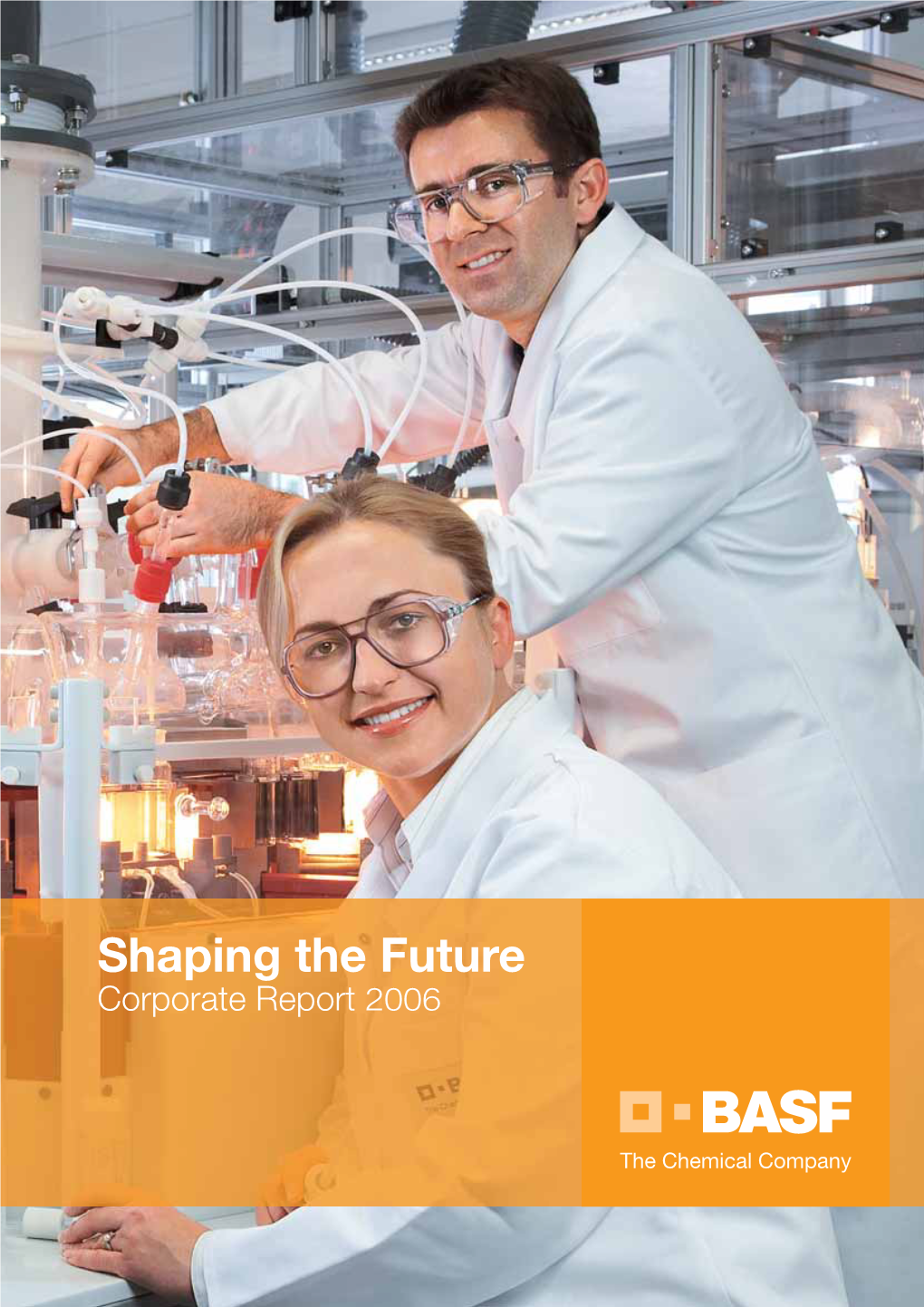 Corporate Report 2006 BASF’S Segments