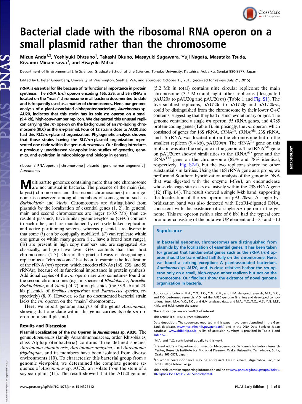 Bacterial Clade with the Ribosomal RNA Operon on a Small Plasmid Rather Than the Chromosome