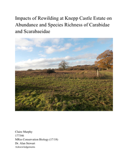 Impacts of Rewilding at Knepp Castle Estate on Abundance and Species Richness of Carabidae and Scarabaeidae