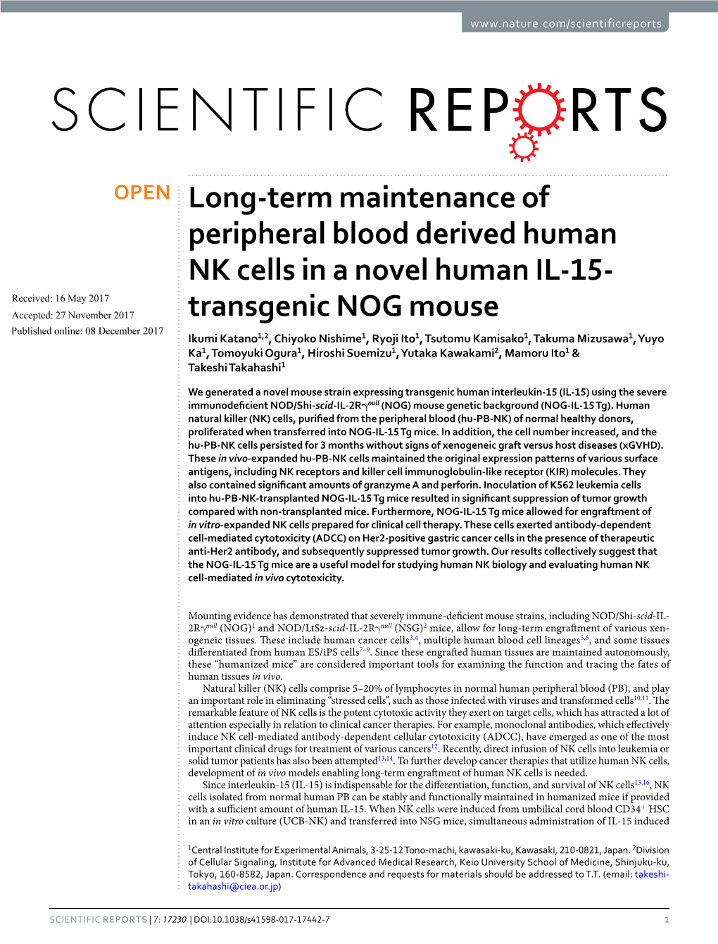 Long-Term Maintenance of Peripheral Blood Derived Human NK Cells in A