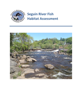 Seguin River Tributary Report