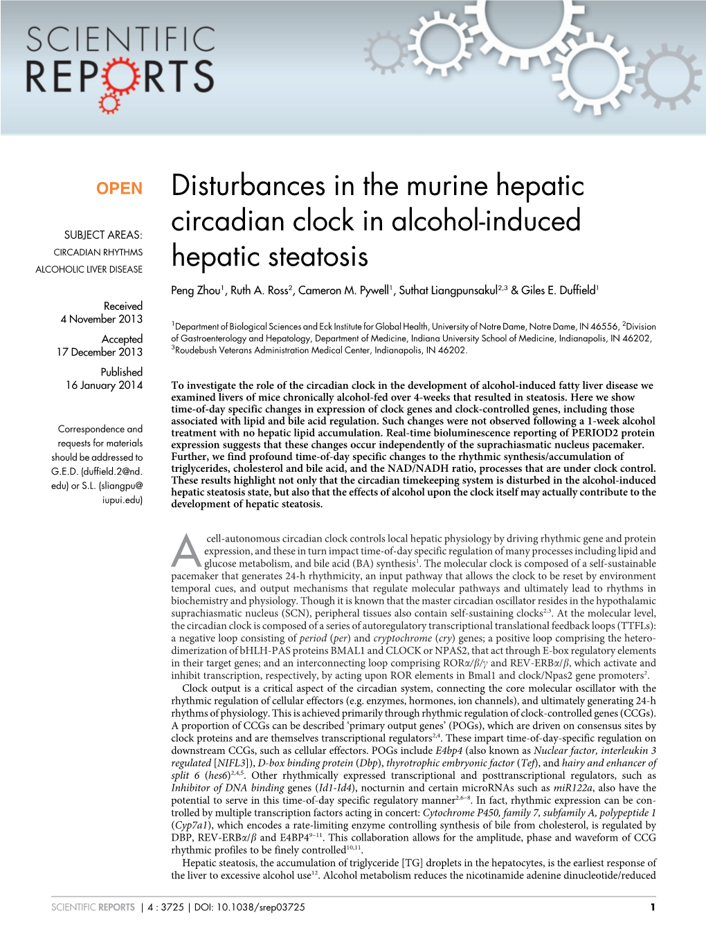 Disturbances in the Murine Hepatic Circadian Clock in Alcohol-Induced Hepatic Receptors REV-Erbalpha and REV-Erbbeta