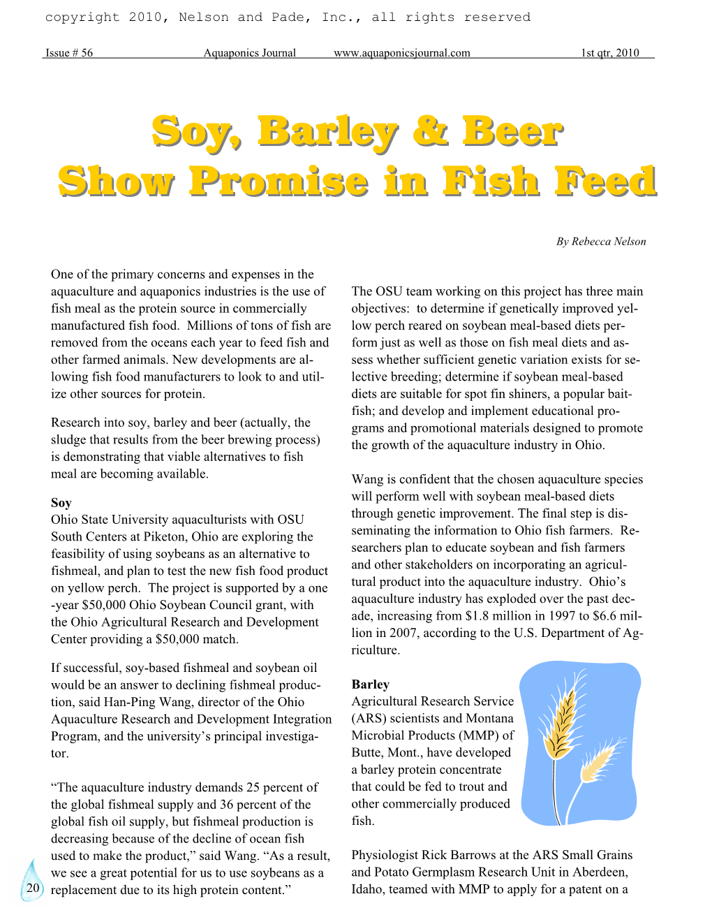 Soy, Barley & Beer Show Promise in Fish Feed