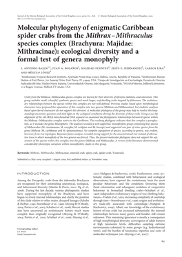 Molecular Phylogeny of Enigmatic Caribbean