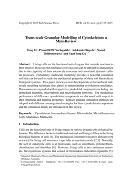 Trans-Scale Granular Modelling of Cytoskeleton: a Mini-Review