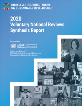 VNR Synthesis Report 2020