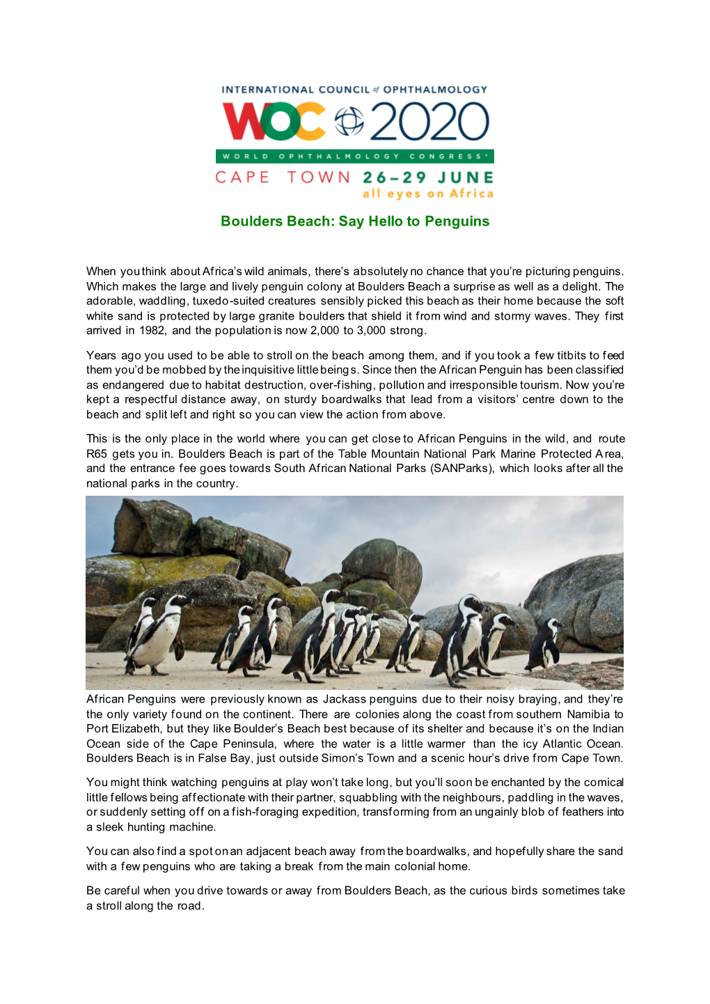 Boulders Beach: Say Hello to Penguins