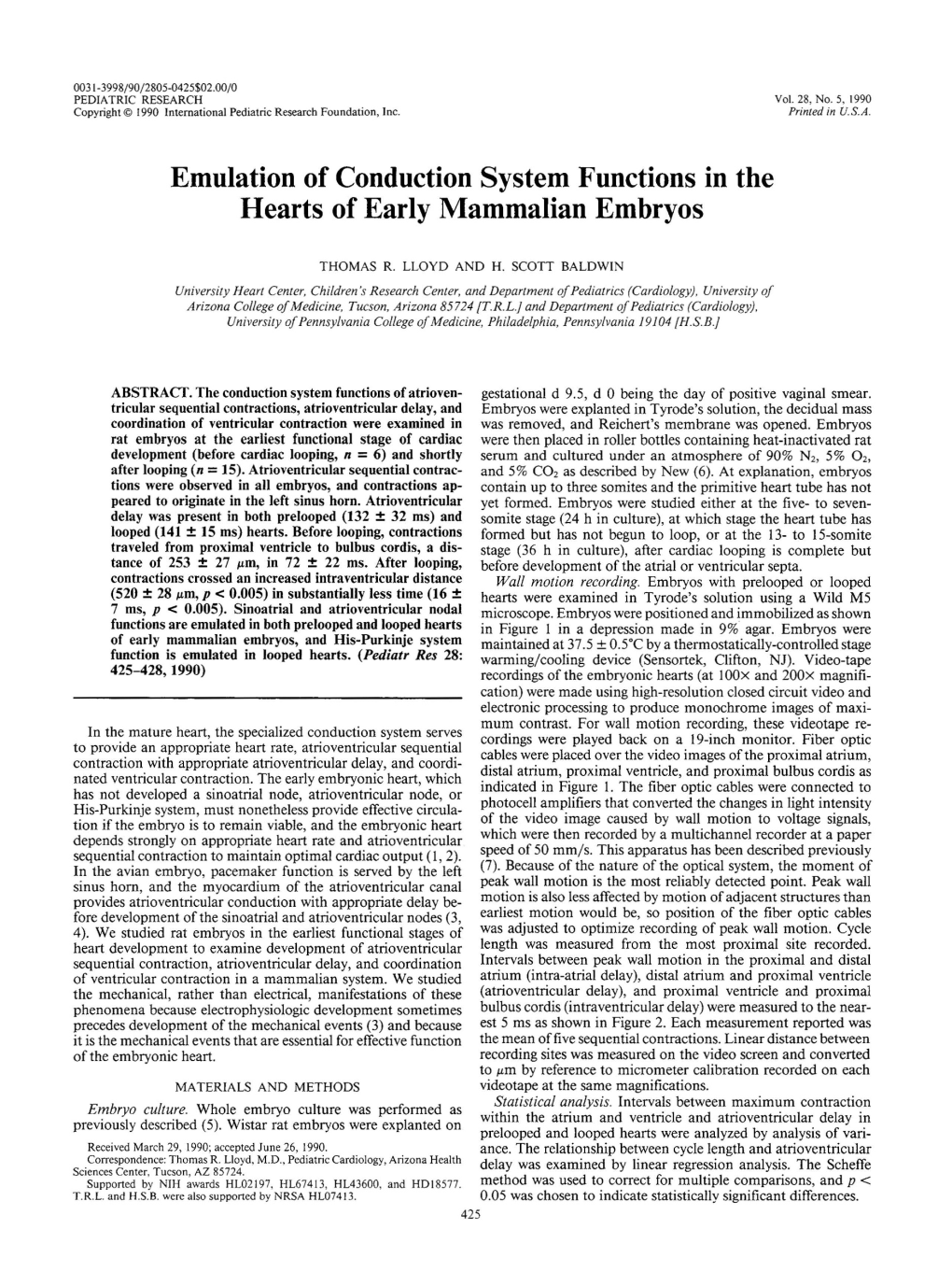 Emulation of Conduction System Functions in the Hearts of Early Mammalian Embryos