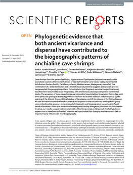 Phylogenetic Evidence That Both Ancient Vicariance and Dispersal Have Contributed to the Biogeographic Patterns of Anchialine Ca