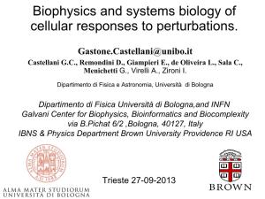 Biophysics and Systems Biology of Cellular Responses to Perturbations