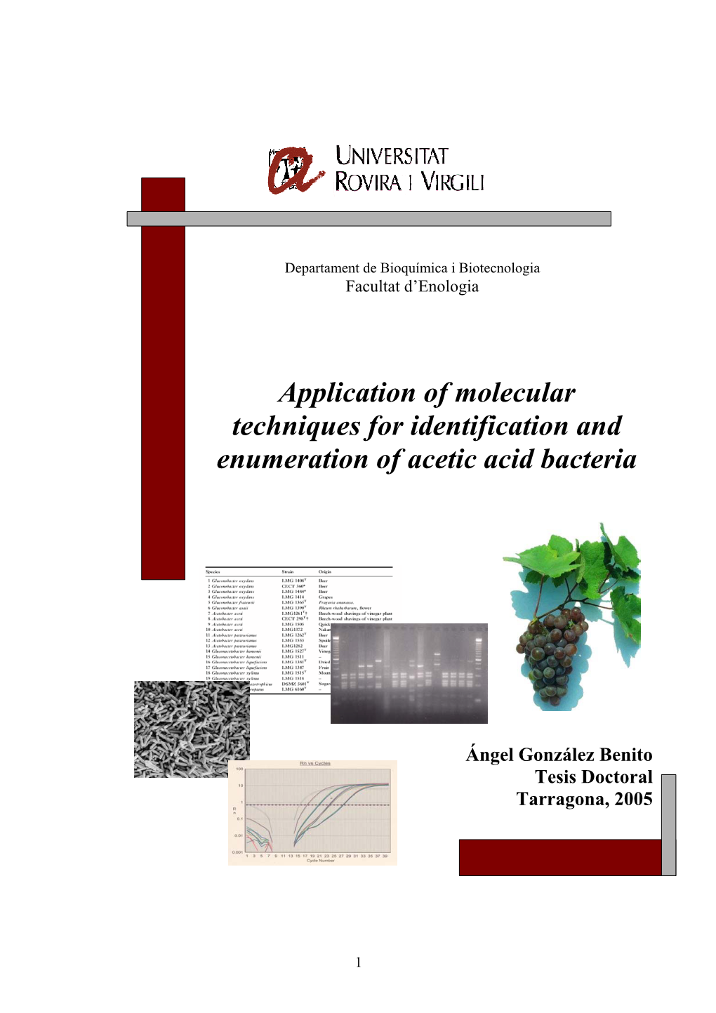 Application of Molecular Techniques for Identification and Enumeration of Acetic Acid Bacteria