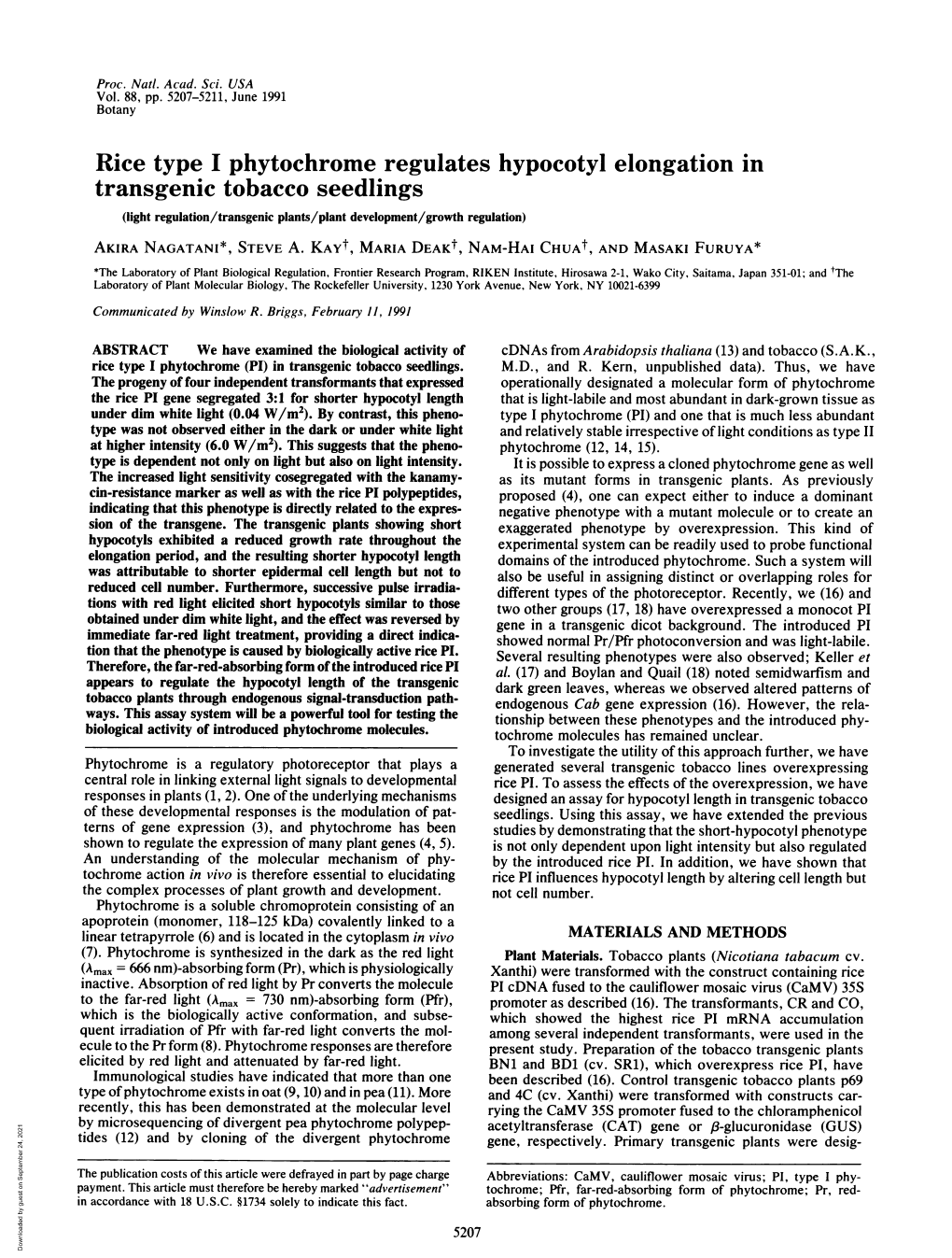 Rice Type I Phytochrome Regulates Hypocotyl Elongation in Transgenic Tobacco Seedlings