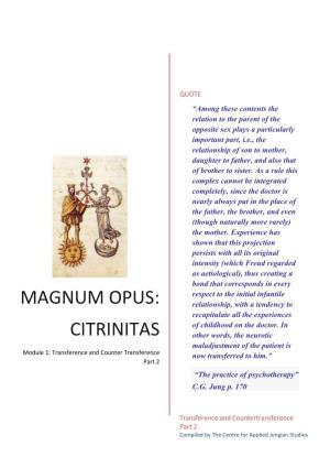 Magnum Opus: Citrinitas