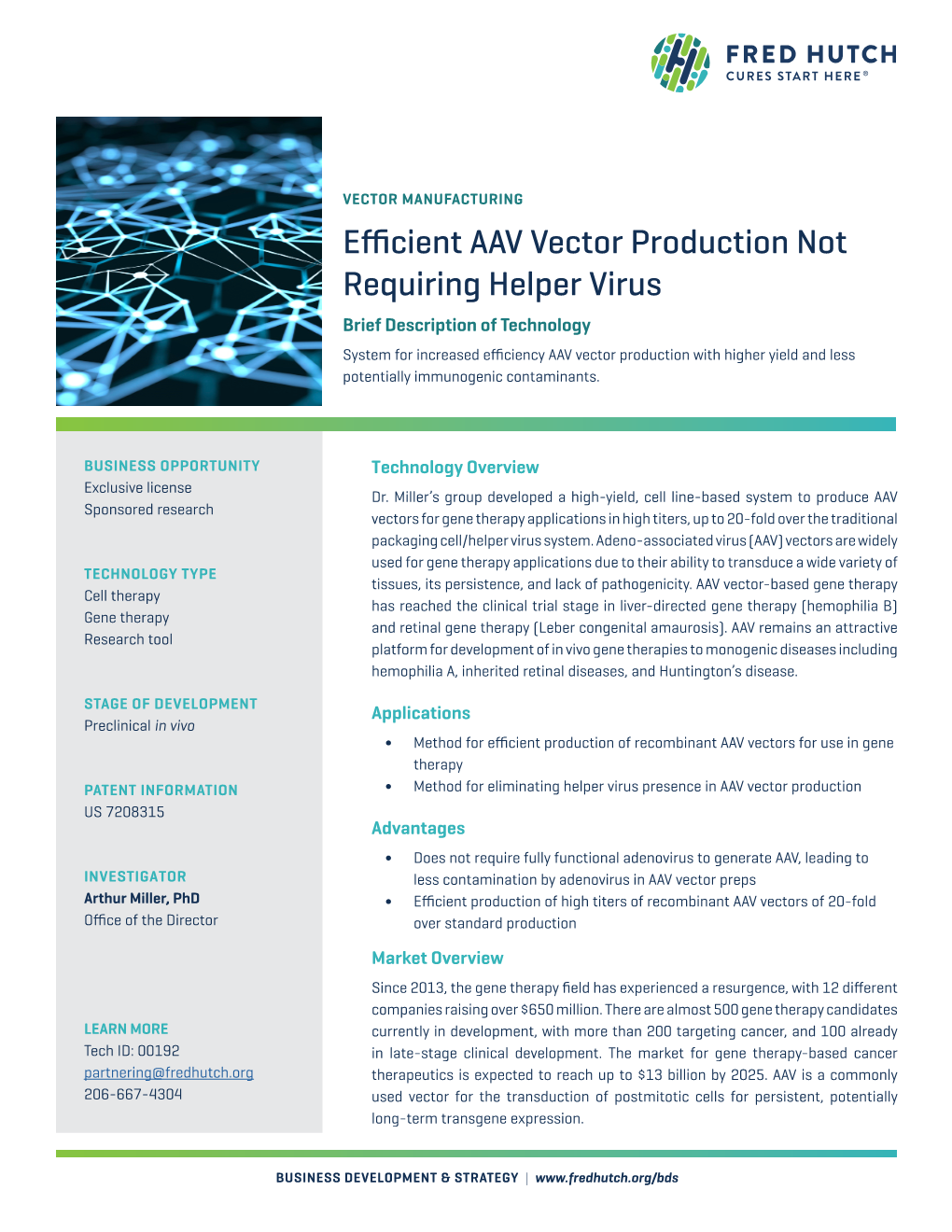 Efficient AAV Vector Production Not Requiring Helper Virus