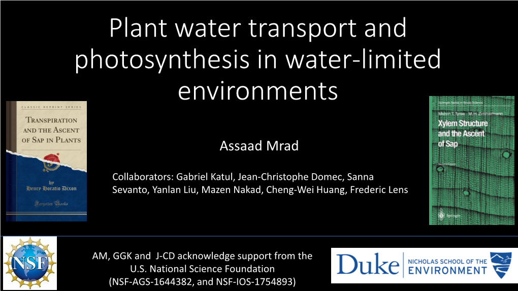 Plant Water Transport and Photosynthesis in Water-Limited Environments