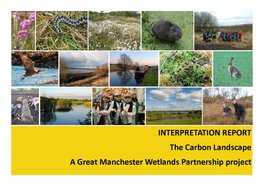 12. the Carbon Landscape Interpretation Report Final Nov2014
