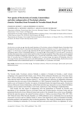 New Species of Oochoristica (Cestoda; Linstowiidae) and Other Endoparasites of Trachylepis Atlantica (Sauria: Scincidae) from Fernando De Noronha Island, Brazil