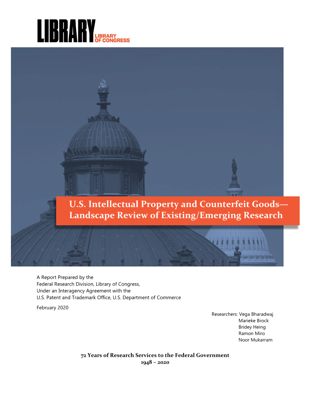 US Intellectual Property and Counterfeit Goods
