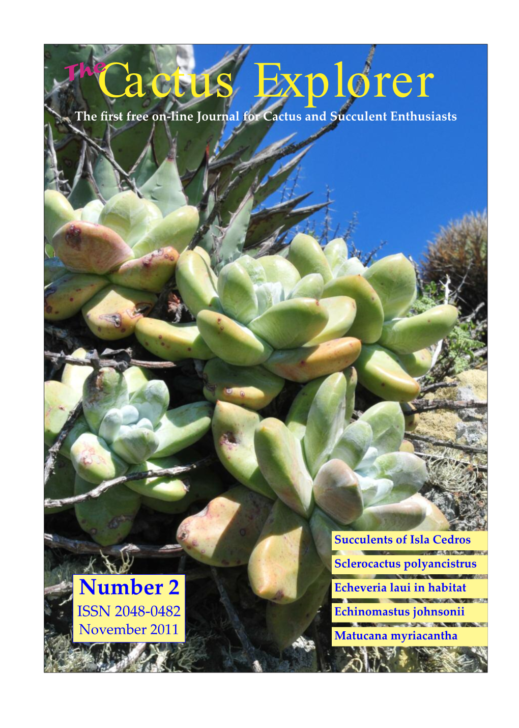 Plea to Cactus Explorers 44 Society Page 56 Travel with the Cactus Expert (1) 45 Retail Therapy 57 a Day in the Quebrada De Tastil 48 Echinomastus Johnsonii 52