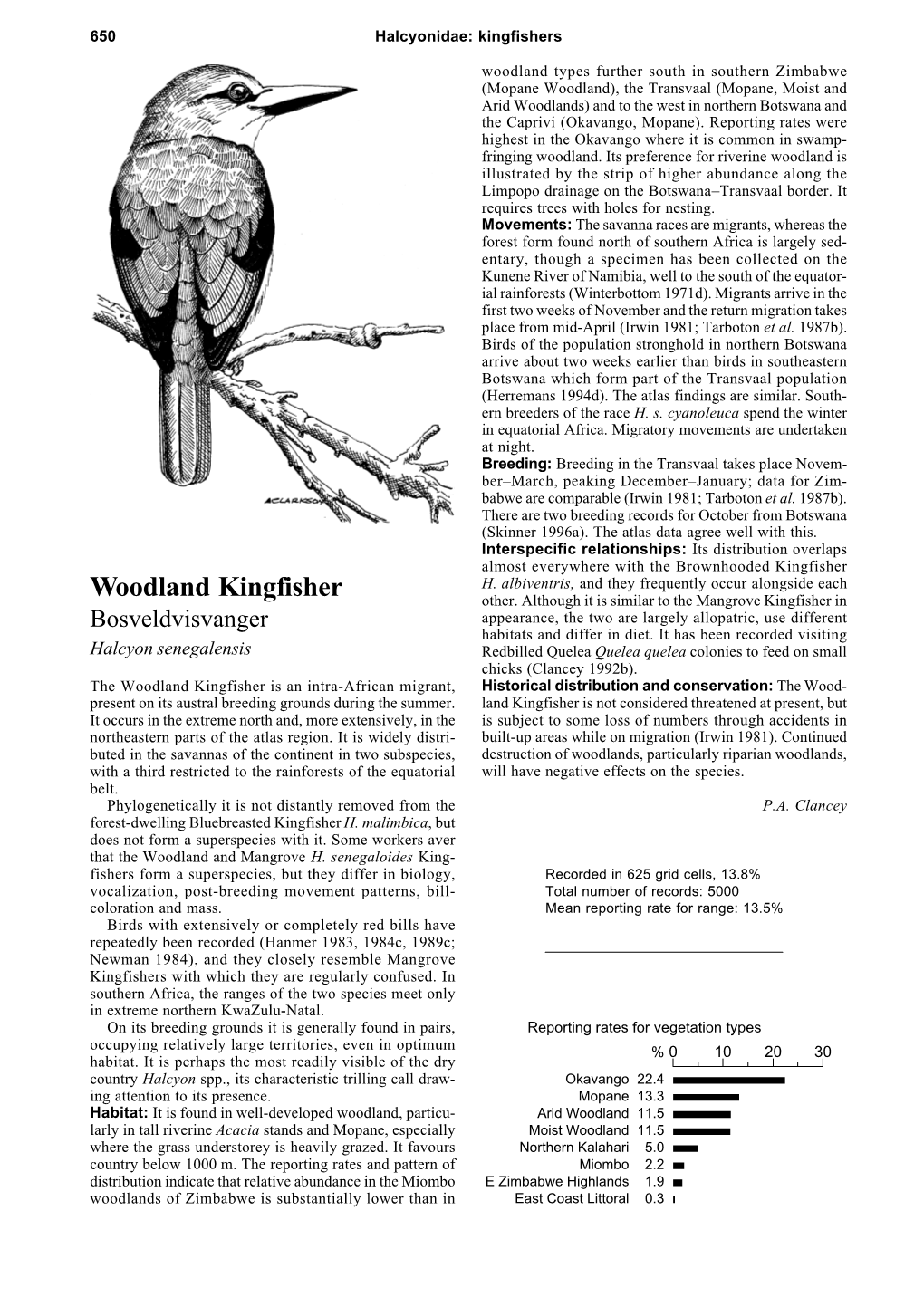 Woodland Kingfisher Other