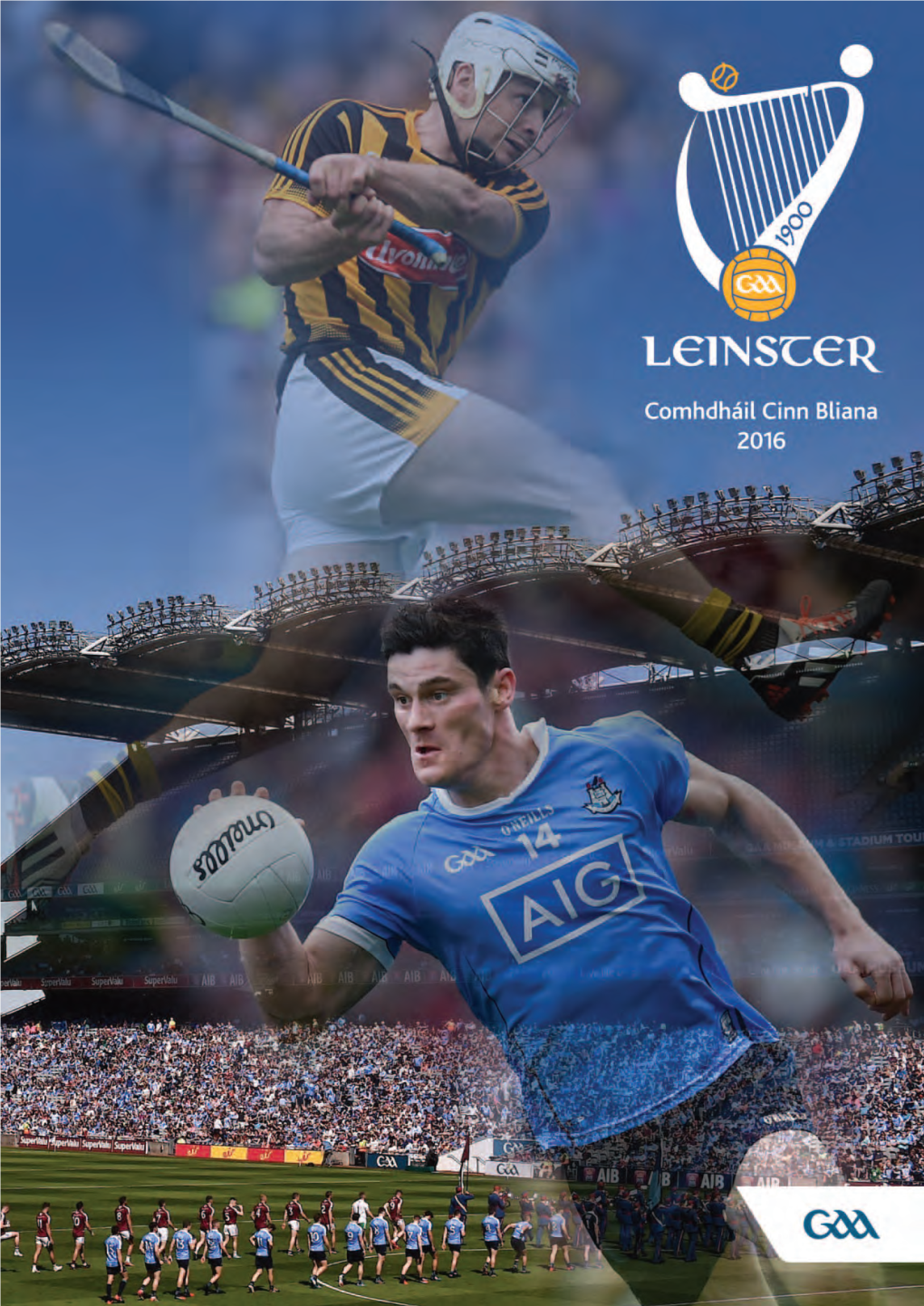 Leinster Senior Hurling Championship