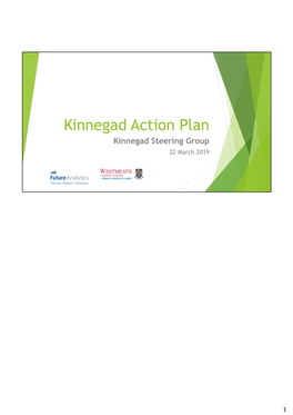Kinnegad Action Plan Kinnegad Steering Group 22 March 2019